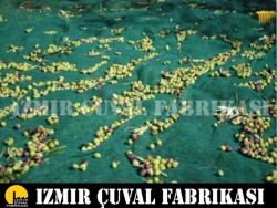 İZMİR ÇUVAL FABRİKASI - 4x7 mt zeytin toplama filesi seyrek tip